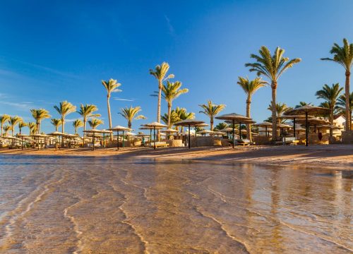 Things to do in Hurghada!