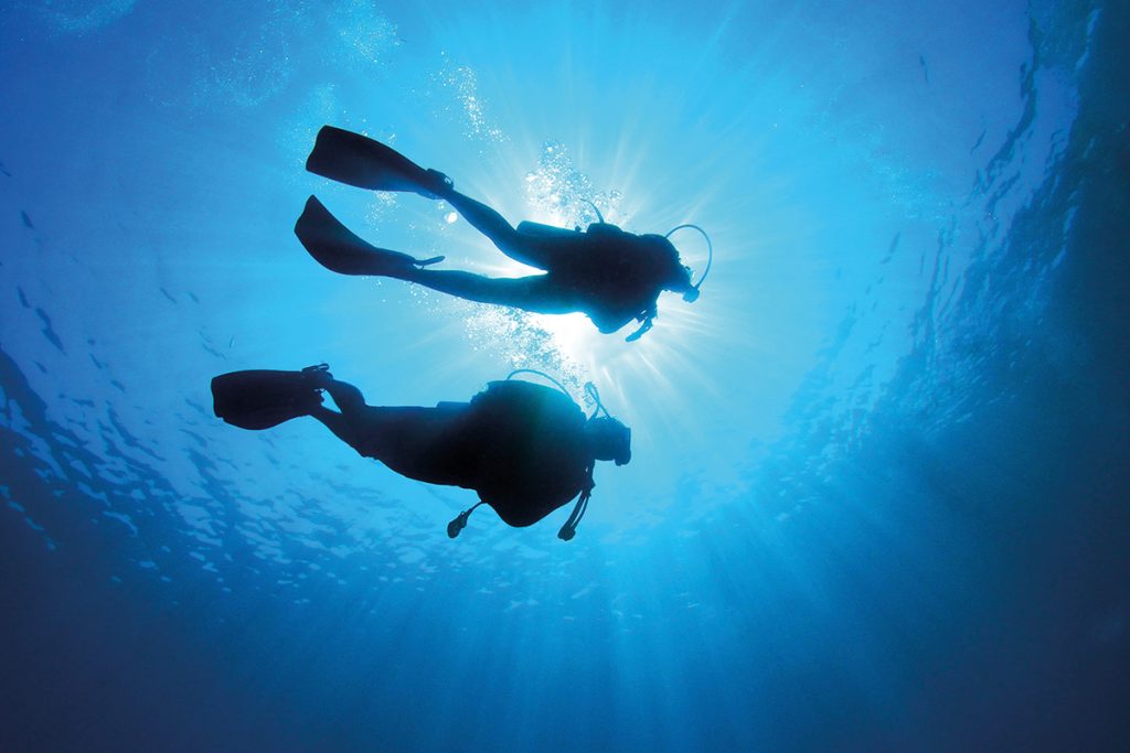 The five best diving spots in Egypt