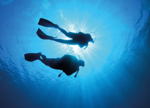 The five best diving spots in Egypt